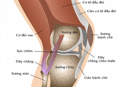 Bệnh lỏng khớp gối là gì? Nguyên nhân, triệu chứng và cách xử lý